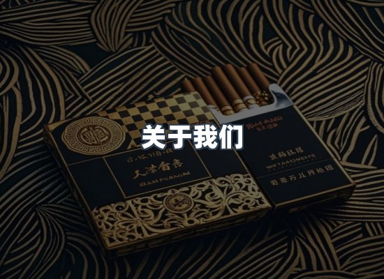 关于我们